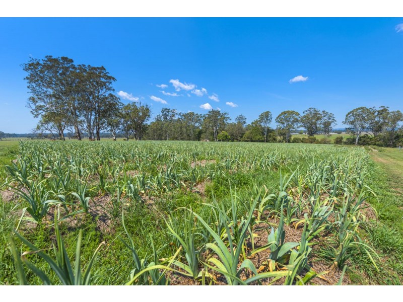 696 Kungala Road, Kungala NSW 2460