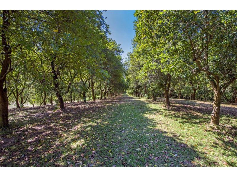 205 Mitchells Road, Valla NSW 2448