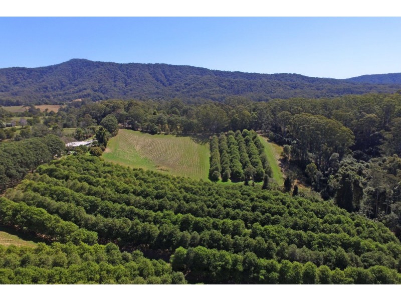 205 Mitchells Road, Valla NSW 2448
