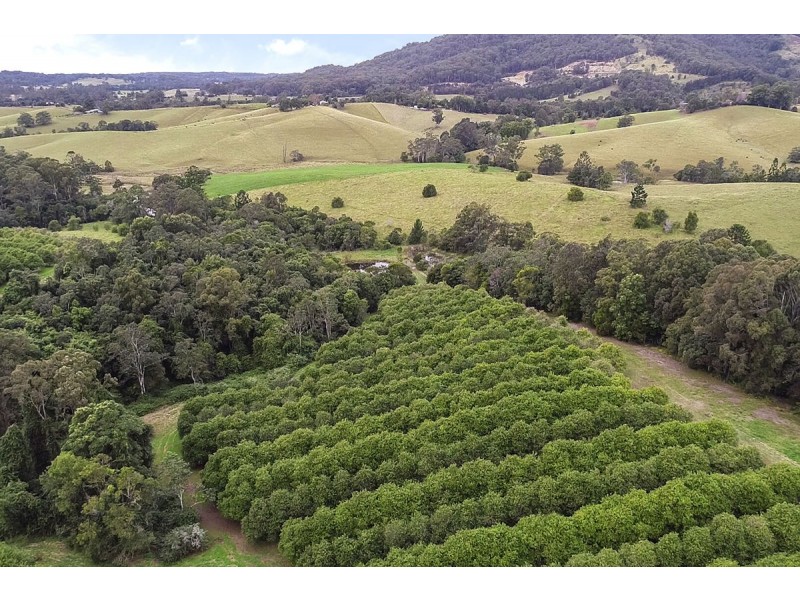 205 Mitchells Road, Valla NSW 2448