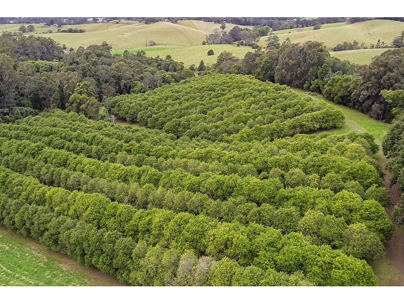 205 Mitchells Road, Valla NSW 2448