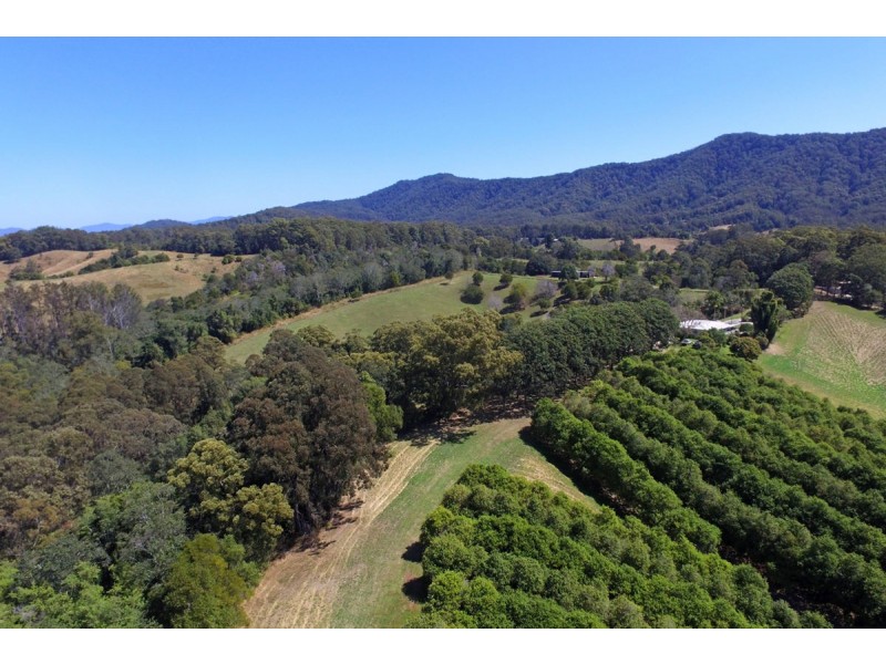 205 Mitchells Road, Valla NSW 2448