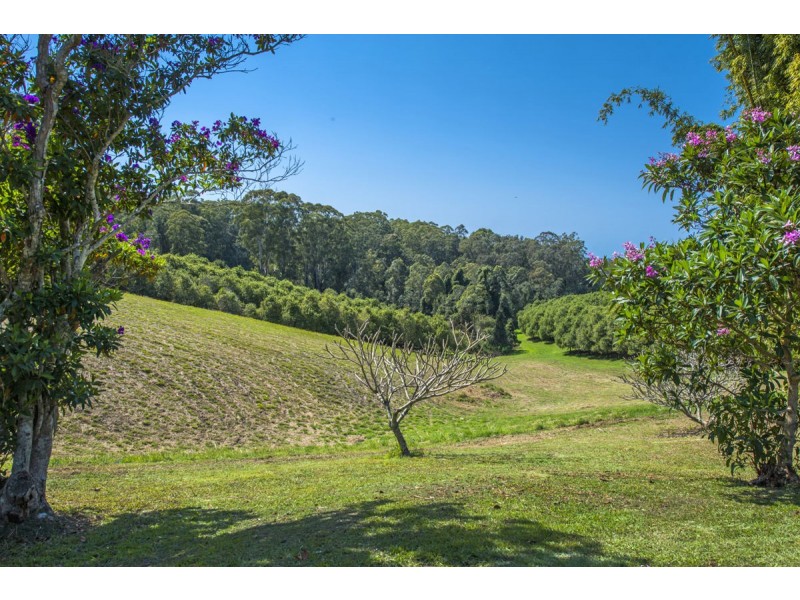 205 Mitchells Road, Valla NSW 2448