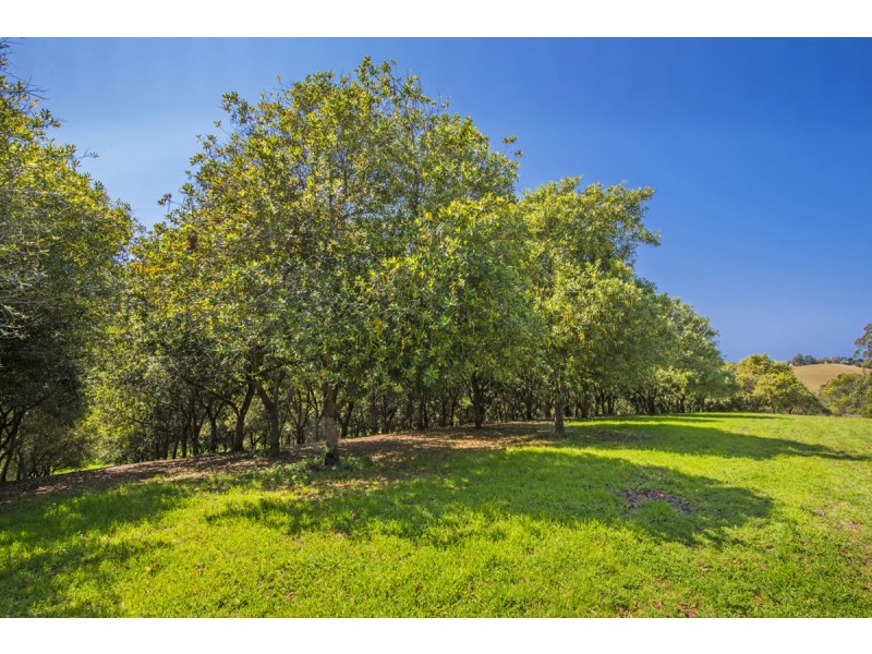 205 Mitchells Road, Valla NSW 2448