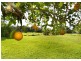 Bellingen NSW 2454
