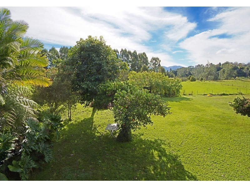 Bellingen NSW 2454