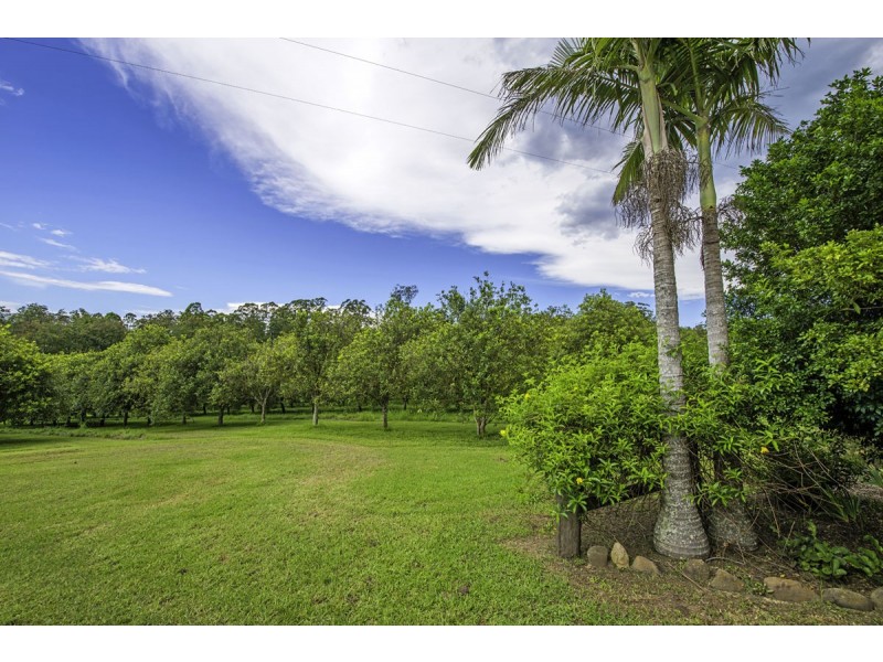 66 Jones Road, Eungai Rail NSW 2441