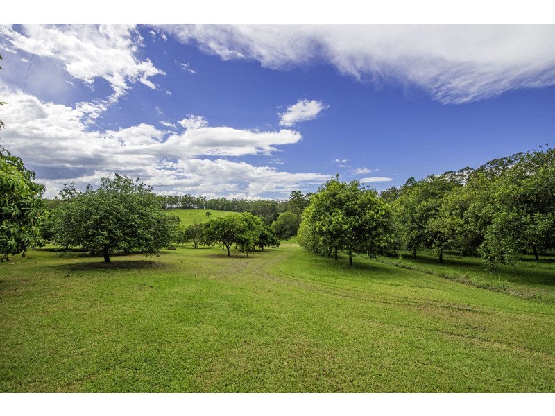 66 Jones Road, Eungai Rail NSW 2441