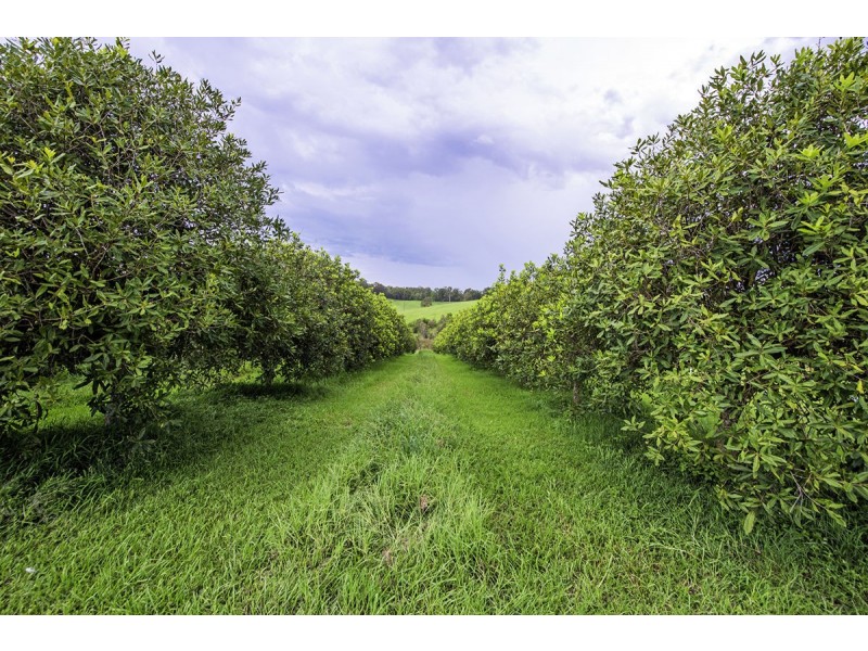 66 Jones Road, Eungai Rail NSW 2441