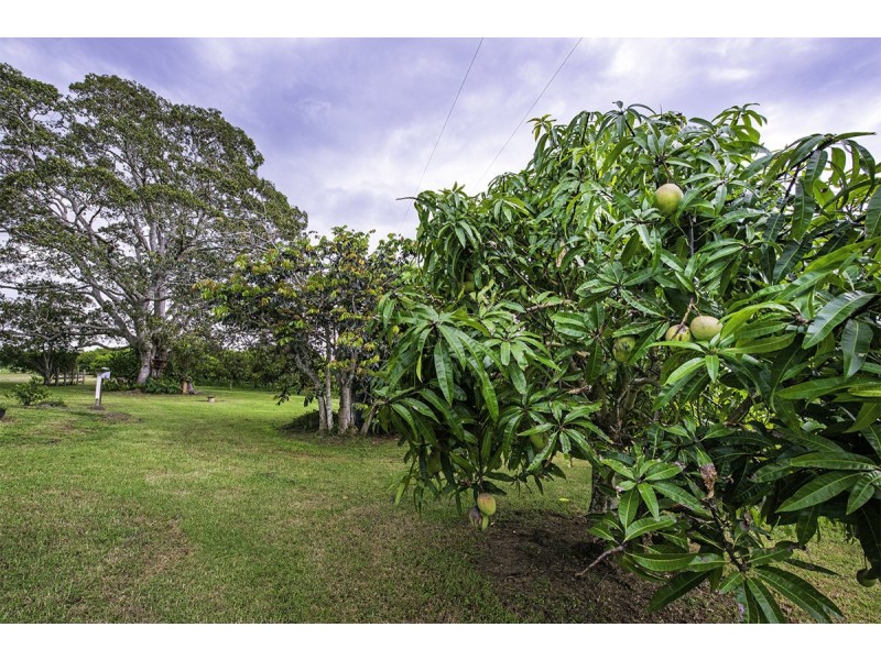 66 Jones Road, Eungai Rail NSW 2441