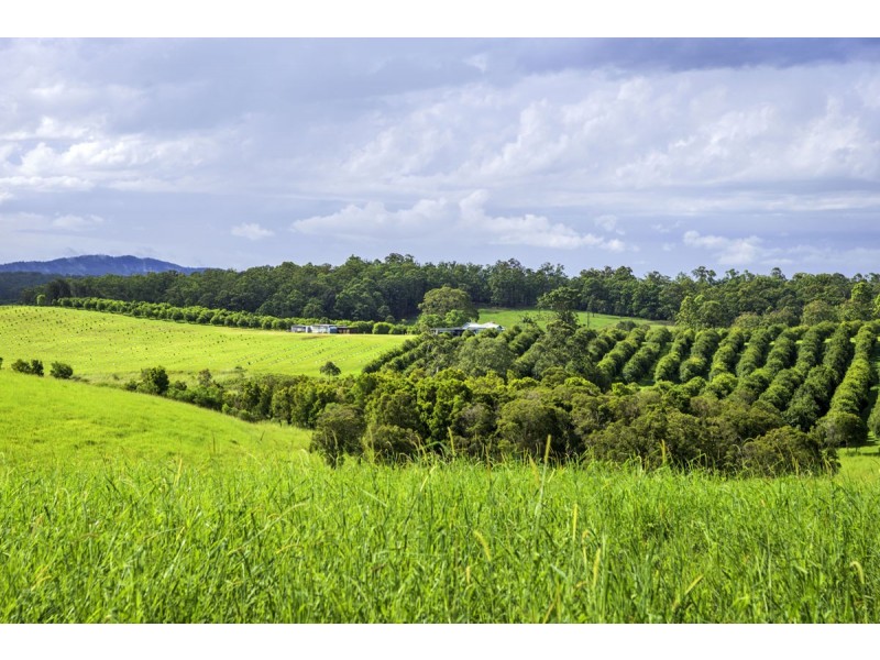 66 Jones Road, Eungai Rail NSW 2441