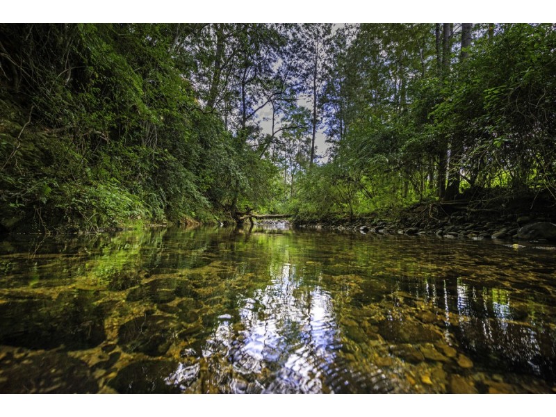 1824 Darkwood Road, Thora NSW 2454