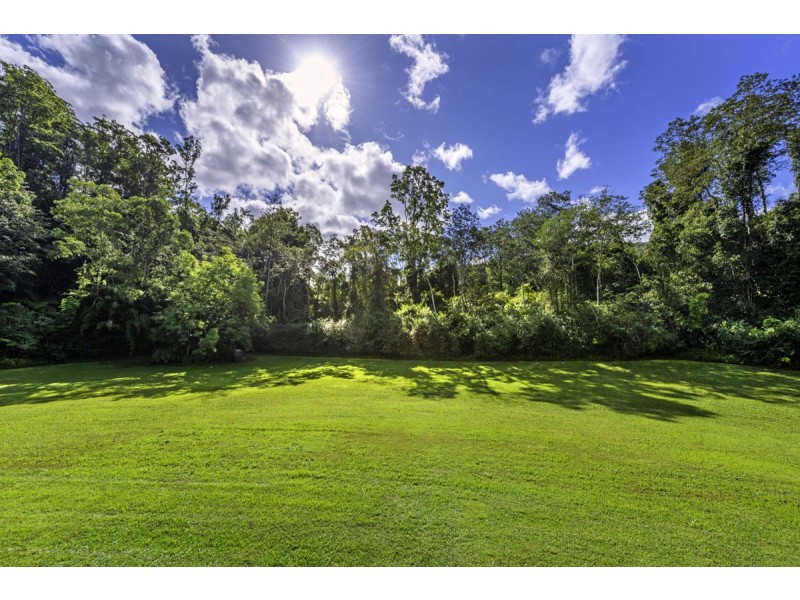 1824 Darkwood Road, Thora NSW 2454