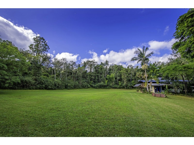 1824 Darkwood Road, Thora NSW 2454