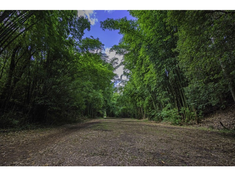 1824 Darkwood Road, Thora NSW 2454