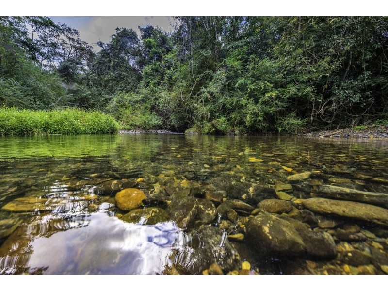 1824 Darkwood Road, Thora NSW 2454