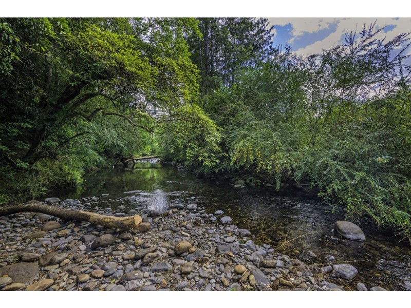 1824 Darkwood Road, Thora NSW 2454