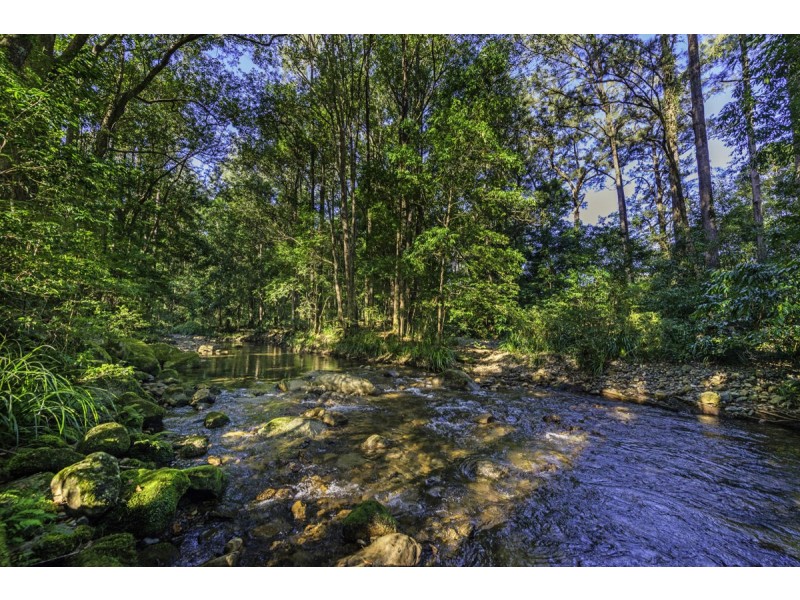 961 Promised Land Road, Bellingen NSW 2454