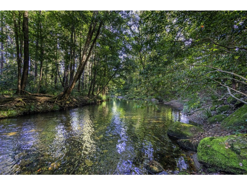 961 Promised Land Road, Bellingen NSW 2454