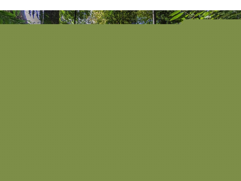 961 Promised Land Road, Bellingen NSW 2454