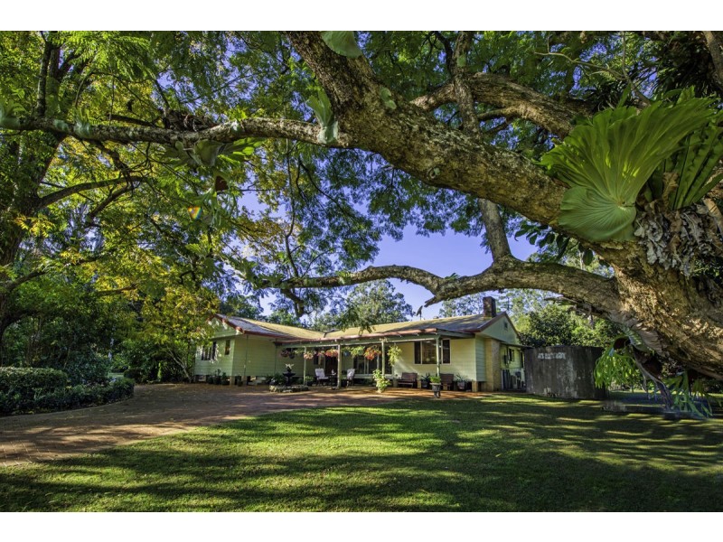 961 Promised Land Road, Bellingen NSW 2454