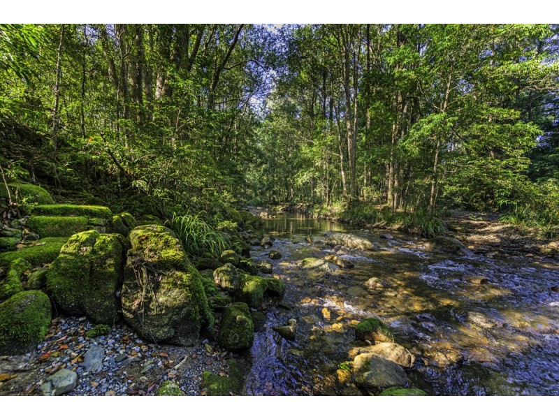 961 Promised Land Road, Bellingen NSW 2454