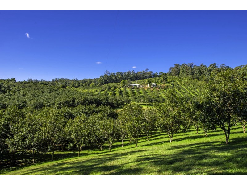 348 Rosewood Road, Warrell Creek NSW 2447