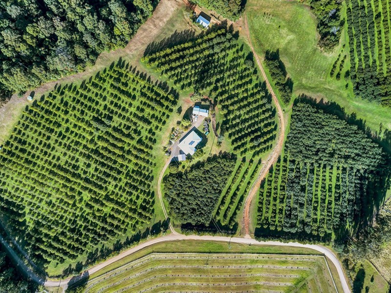 348 Rosewood Road, Warrell Creek NSW 2447