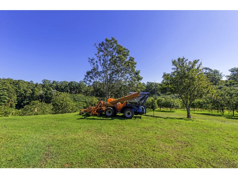 348 Rosewood Road, Warrell Creek NSW 2447