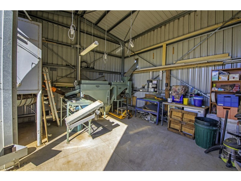 348 Rosewood Road, Warrell Creek NSW 2447