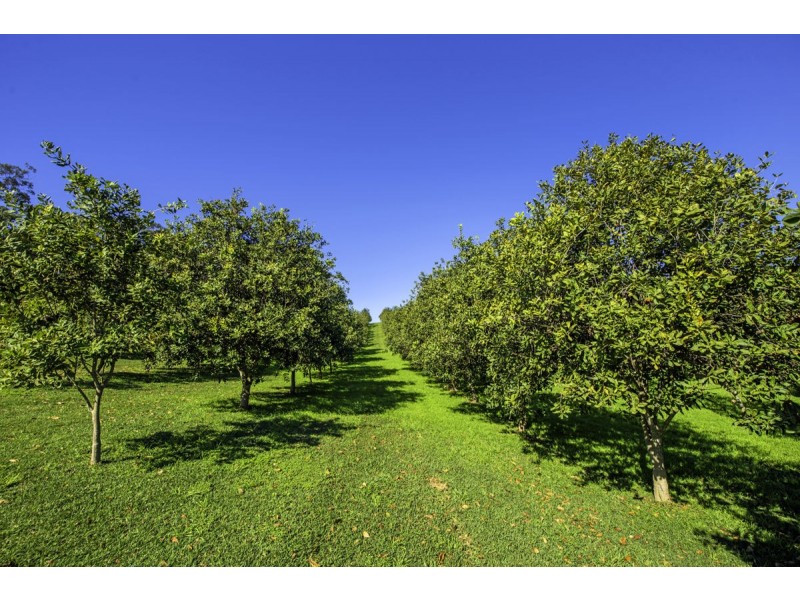 348 Rosewood Road, Warrell Creek NSW 2447