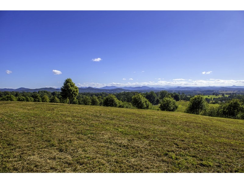 348 Rosewood Road, Warrell Creek NSW 2447