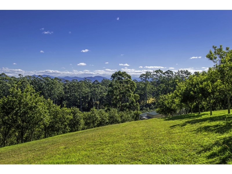 348 Rosewood Road, Warrell Creek NSW 2447