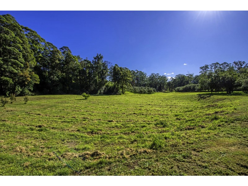 348 Rosewood Road, Warrell Creek NSW 2447