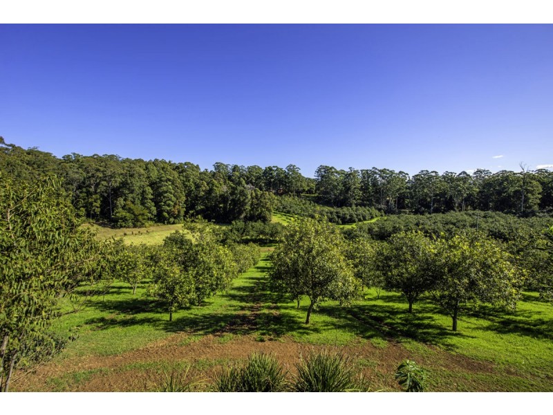 348 Rosewood Road, Warrell Creek NSW 2447