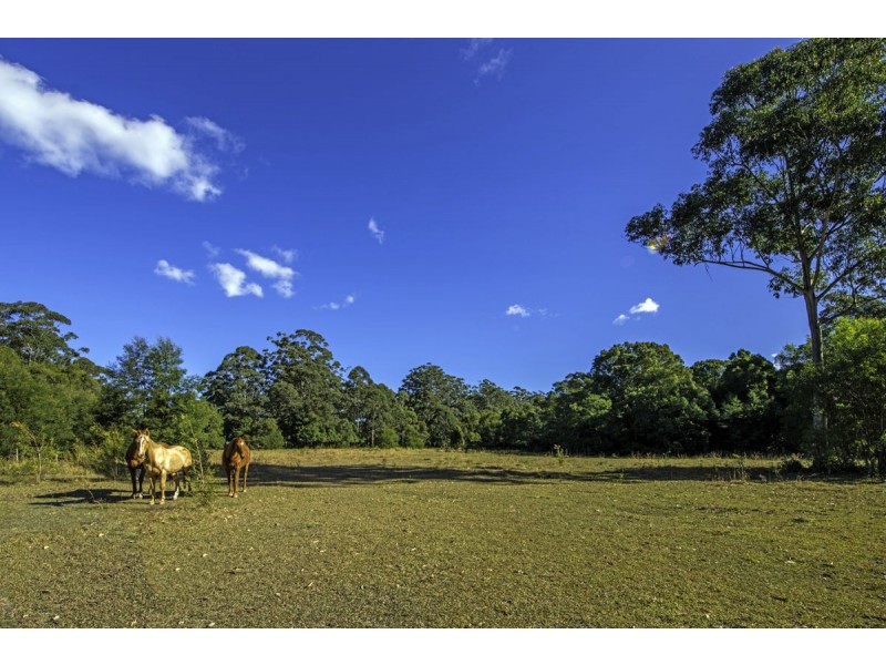 21 Gillards Road, Bucca NSW 2450