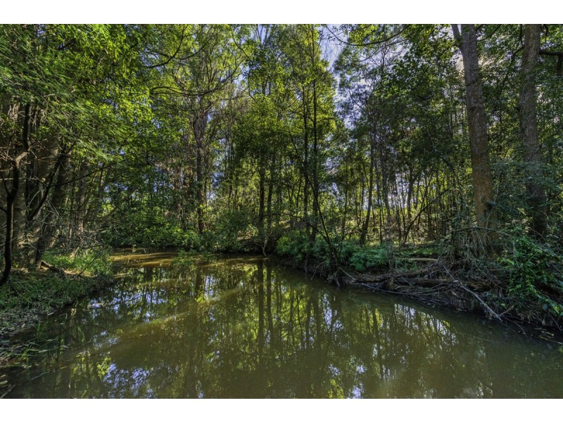 21 Gillards Road, Bucca NSW 2450