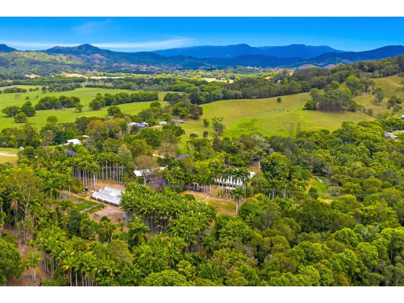 171 Billinudgel Road, Billinudgel NSW 2483