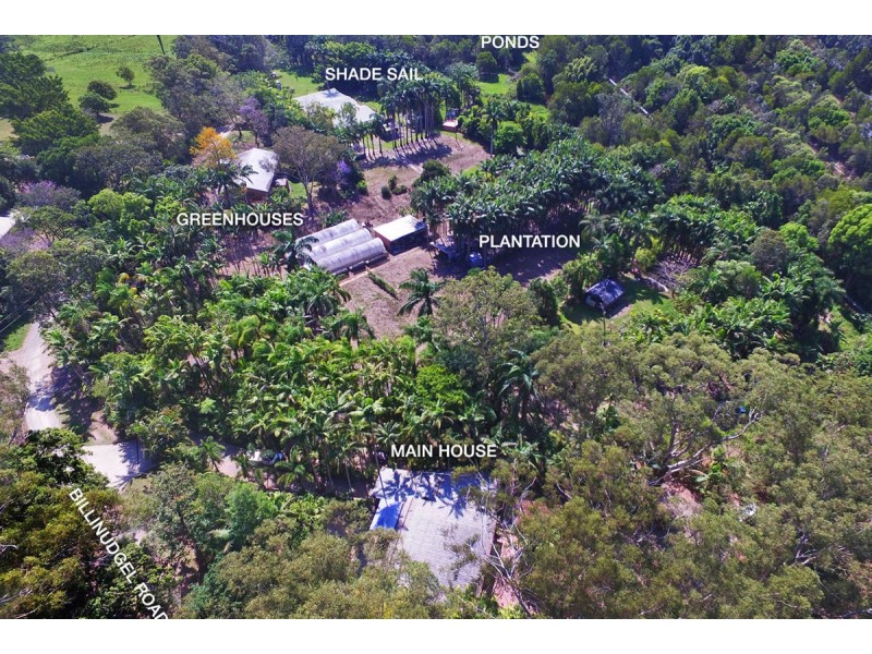 171 Billinudgel Road, Billinudgel NSW 2483