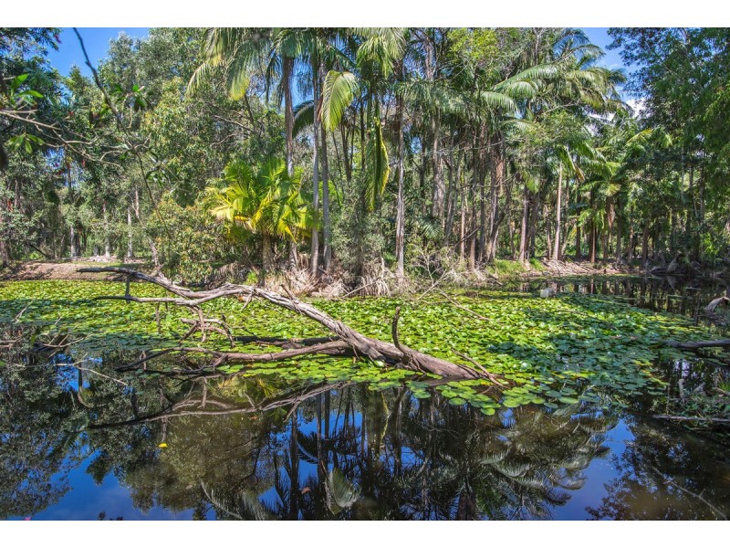 171 Billinudgel Road, Billinudgel NSW 2483