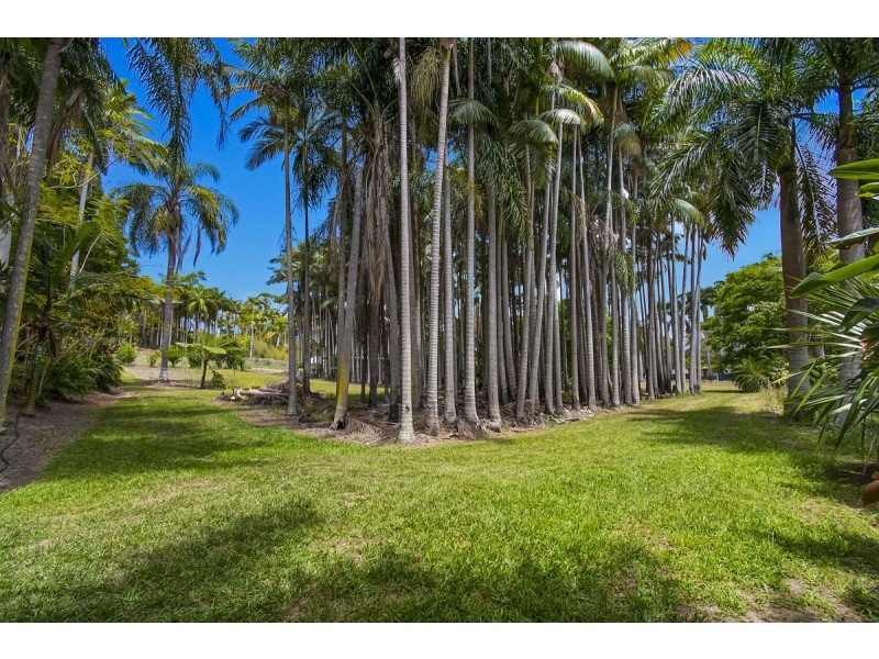 171 Billinudgel Road, Billinudgel NSW 2483