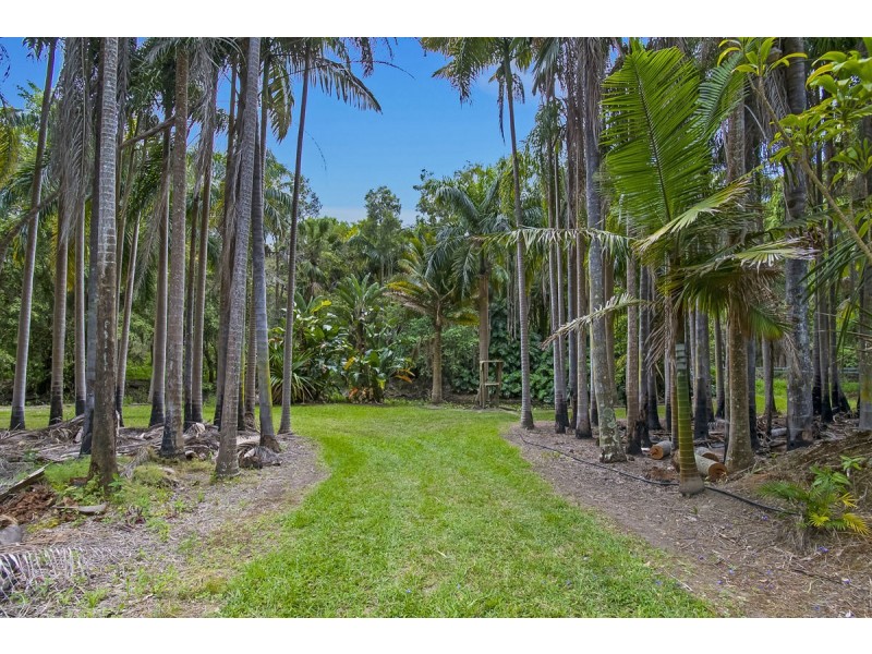 171 Billinudgel Road, Billinudgel NSW 2483