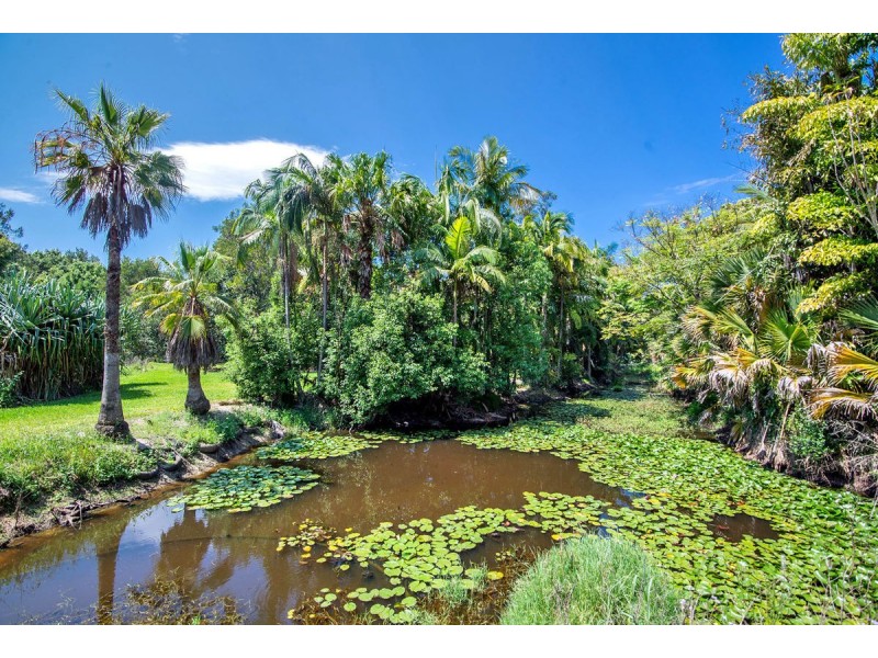 171 Billinudgel Road, Billinudgel NSW 2483