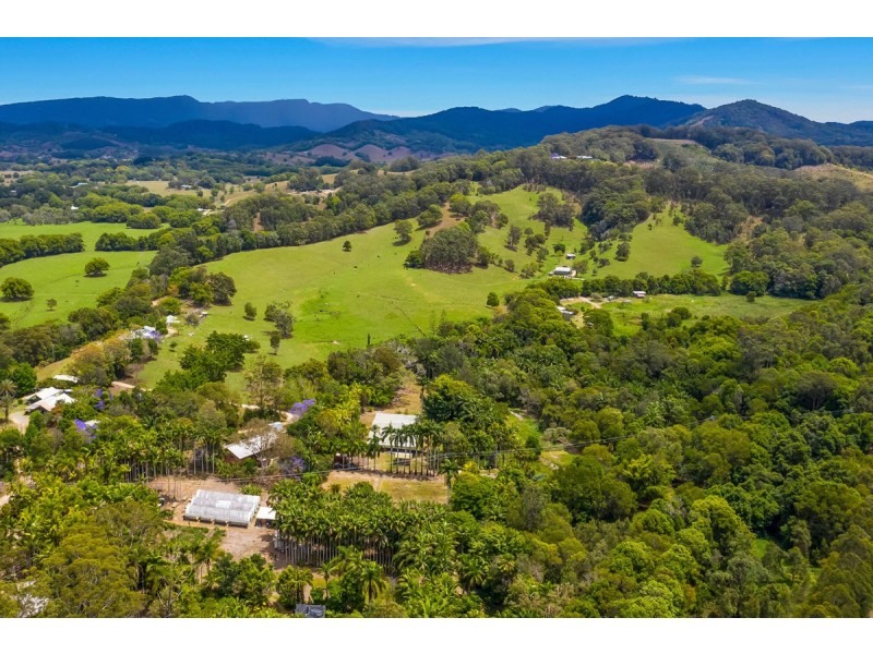 171 Billinudgel Road, Billinudgel NSW 2483