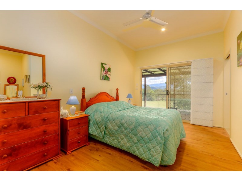 159 Nobbys Creek Road, Nobbys Creek NSW 2484