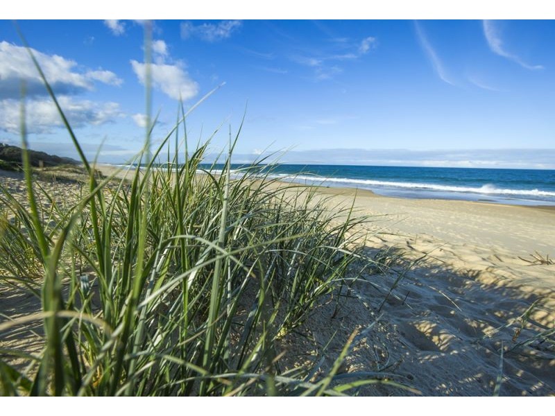 8 Grevillia Street, Mylestom NSW 2454