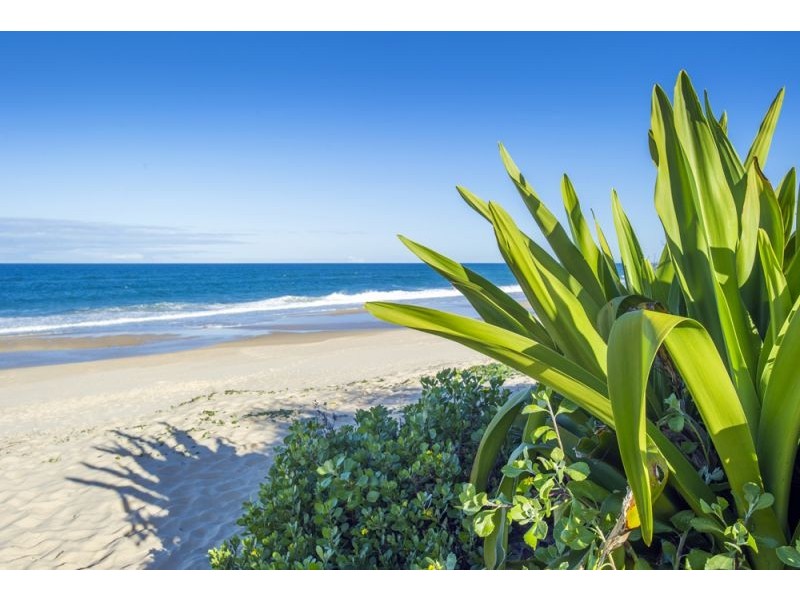 8 Grevillia Street, Mylestom NSW 2454