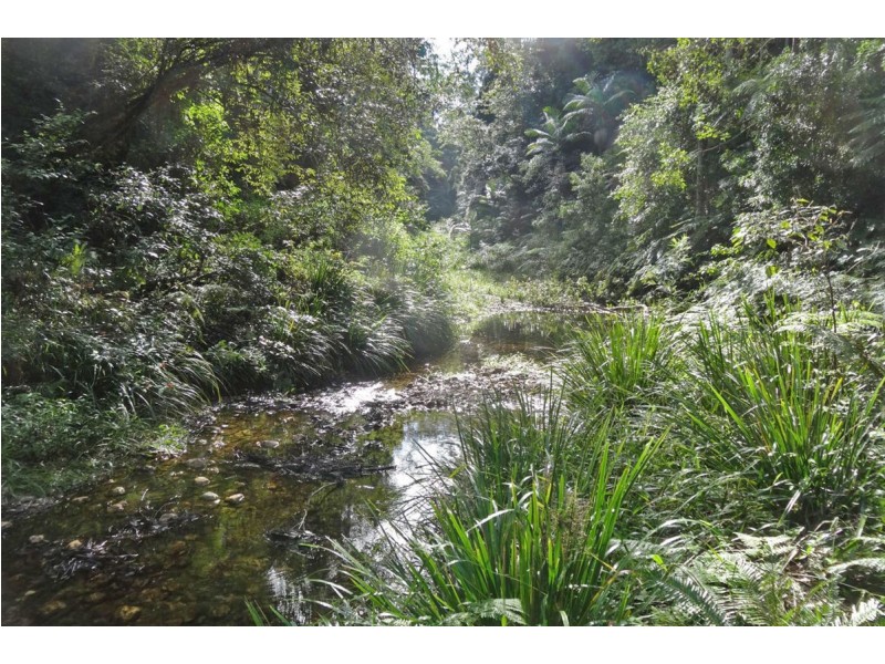 1413 Kalang Road, Bellingen NSW 2454