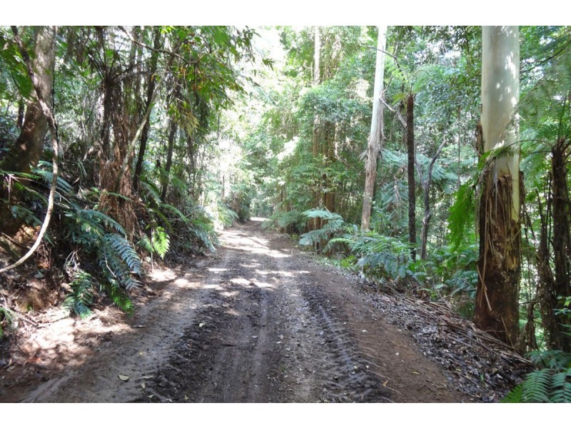 1413 Kalang Road, Bellingen NSW 2454