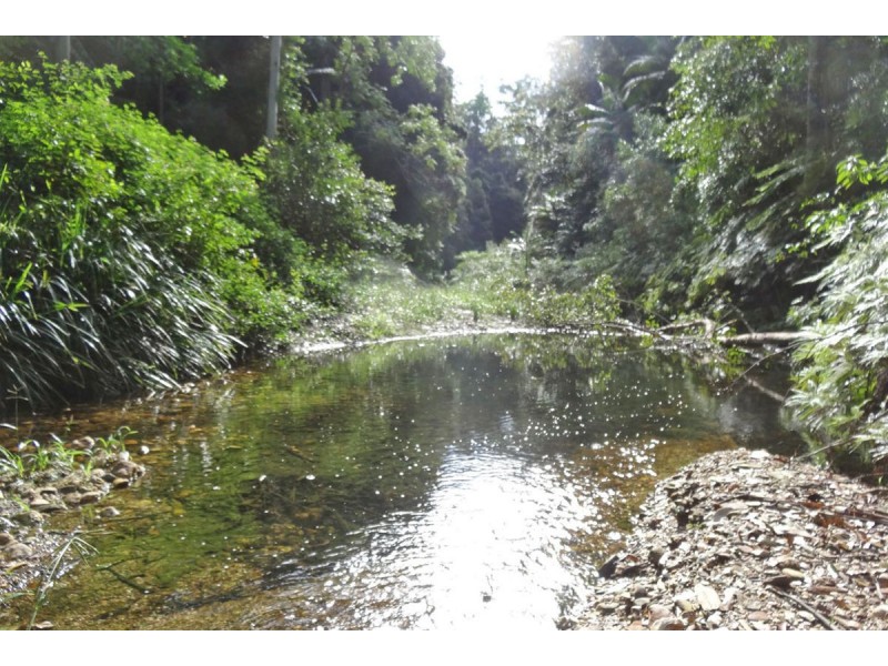 1413 Kalang Road, Bellingen NSW 2454